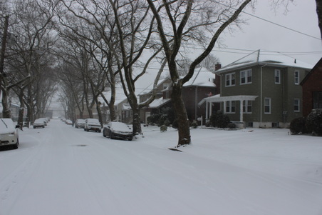 Enlarge photo 16