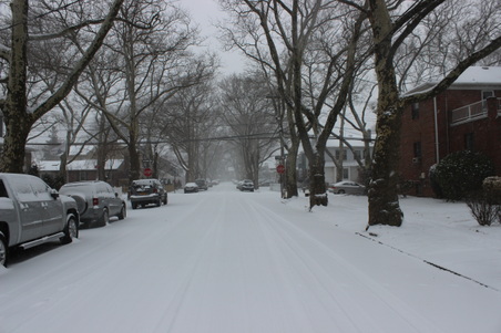Enlarge photo 17