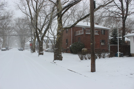 Enlarge photo 19