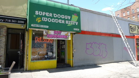 EXT. PET RESCUE SHELTER