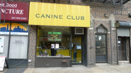Pet Rescue Shelter
