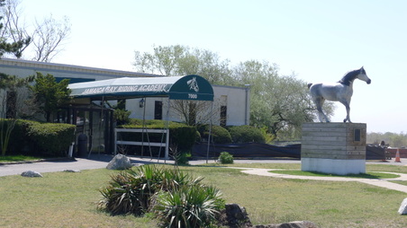 HORSE STABLES