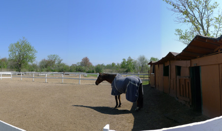Enlarge photo 6