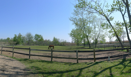 Enlarge photo 13
