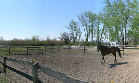 Enlarge photo 14
