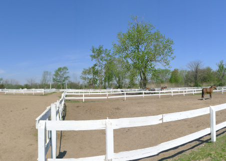 Enlarge photo 15