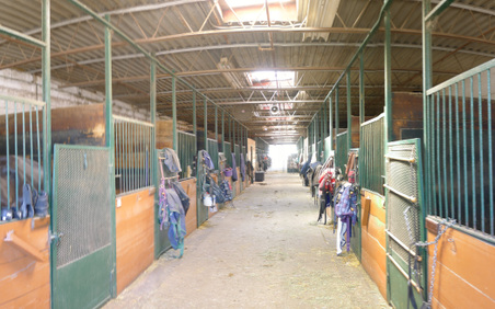 Enlarge photo 18