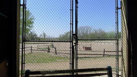Enlarge photo 20