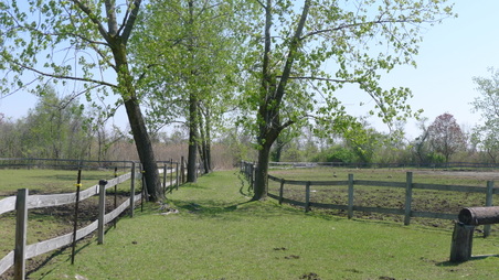 Enlarge photo 30