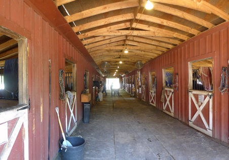 Enlarge photo 19