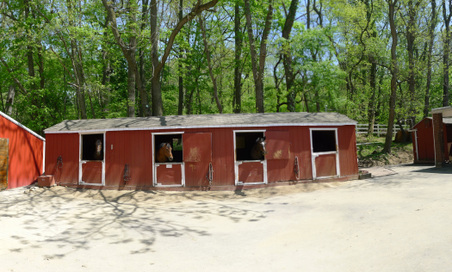 Riverdale Stables (Van Cortland Park)