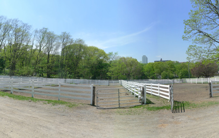 Enlarge photo 17