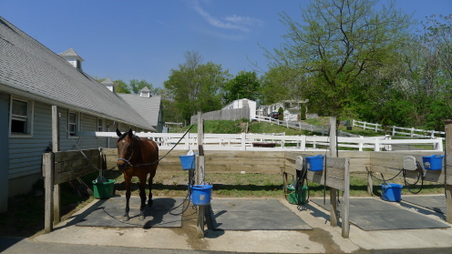 Enlarge photo 16