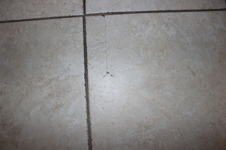 Enlarge photo 23