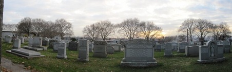 Enlarge photo 16