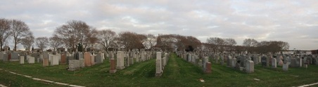 Enlarge photo 13