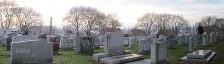 Enlarge photo 14
