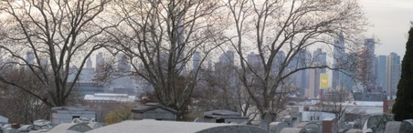 Enlarge photo 20