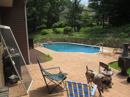 Enlarge photo 11