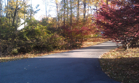 Enlarge photo 16