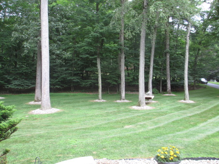 Enlarge photo 5