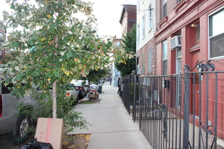 Enlarge photo 11
