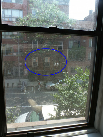 Enlarge photo 11