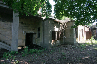 Enlarge photo 16