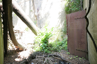 Enlarge photo 19