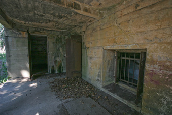 Enlarge photo 21