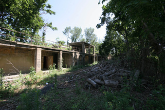 Enlarge photo 23