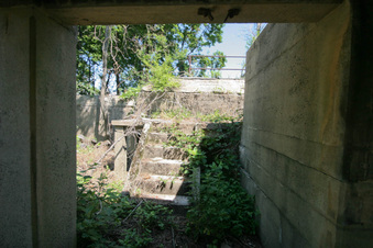 Enlarge photo 35