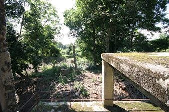 Enlarge photo 37