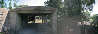 Enlarge photo 41