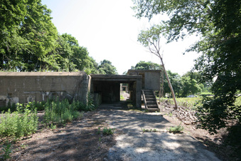 Enlarge photo 44