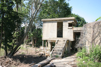 Enlarge photo 45