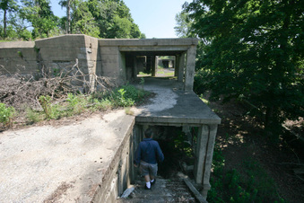 Enlarge photo 48