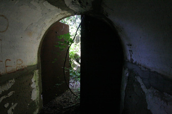 Enlarge photo 49