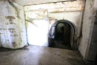 Enlarge photo 51