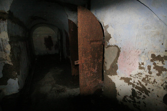 Enlarge photo 54