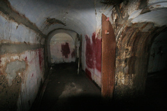 Enlarge photo 55