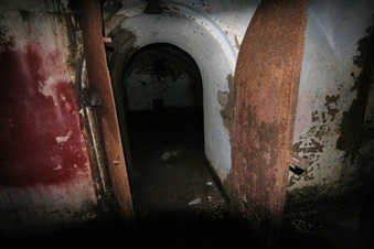Enlarge photo 57