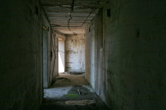 Enlarge photo 60
