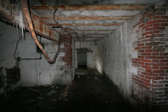 Enlarge photo 61