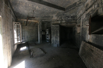 Enlarge photo 64