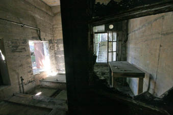 Enlarge photo 67