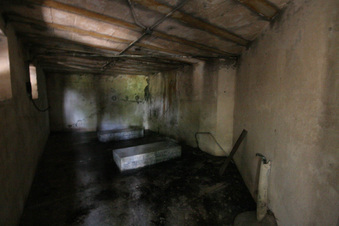 Enlarge photo 68