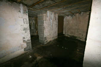 Enlarge photo 73