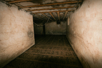 Enlarge photo 74