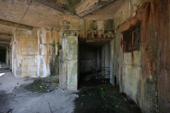 Enlarge photo 76